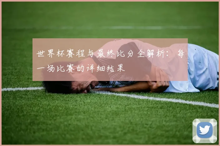 世界杯赛程与最终比分全解析:每一场比赛的详细结果