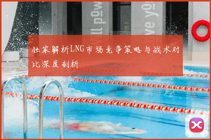 独家解析LNG市场竞争策略与战术对比深度剖析