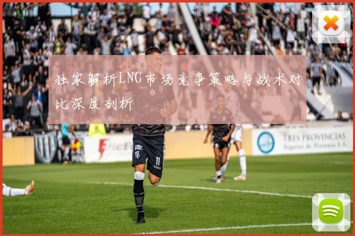 独家解析LNG市场竞争策略与战术对比深度剖析