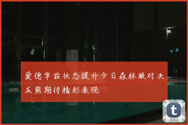 爱德华兹状态提升今日森林狼对决灰熊期待精彩表现