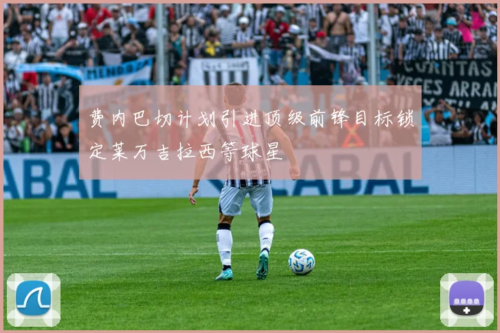 费内巴切计划引进顶级前锋目标锁定莱万吉拉西等球星