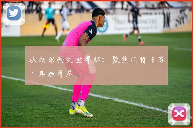 从切尔西到世界杯:聚焦门将卡洛·库迪奇尼
