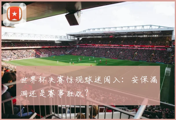世界杯决赛惊现球迷闯入:安保漏洞还是赛事狂欢?