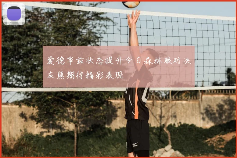 爱德华兹状态提升今日森林狼对决灰熊期待精彩表现